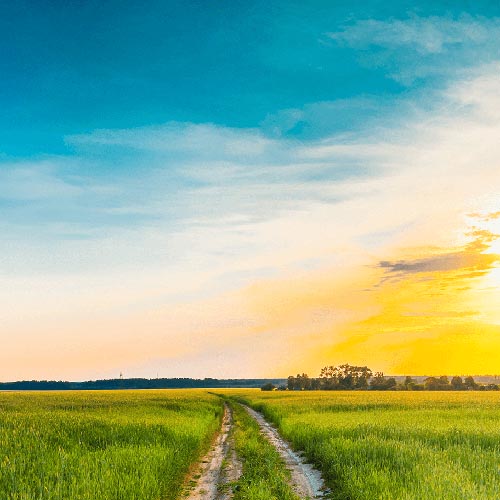 2026 Tapping World Summit