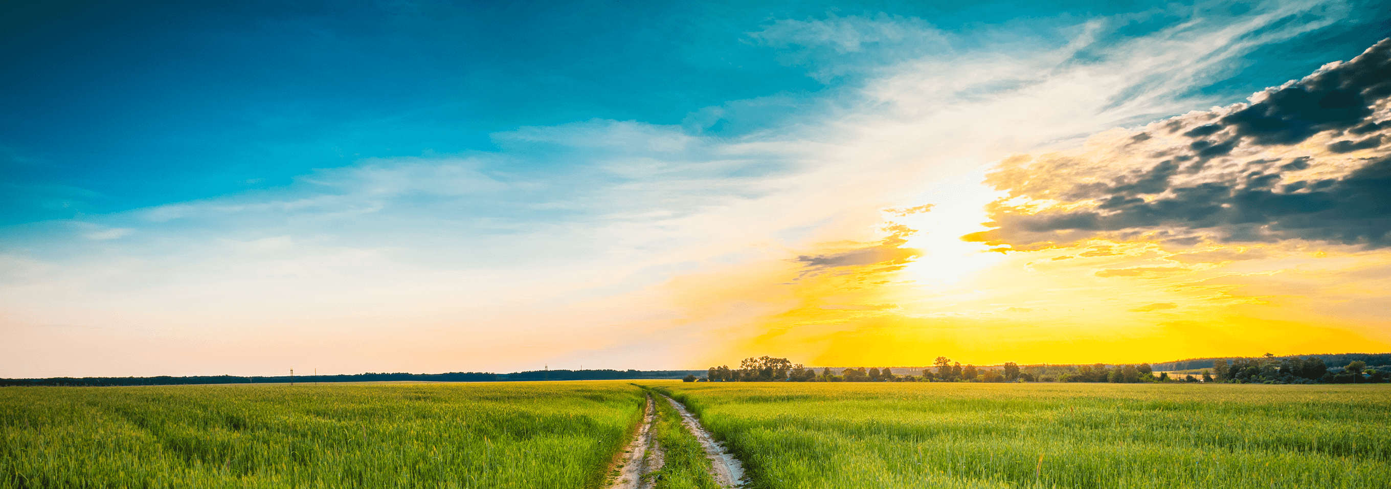 Image for 2026 Tapping World Summit